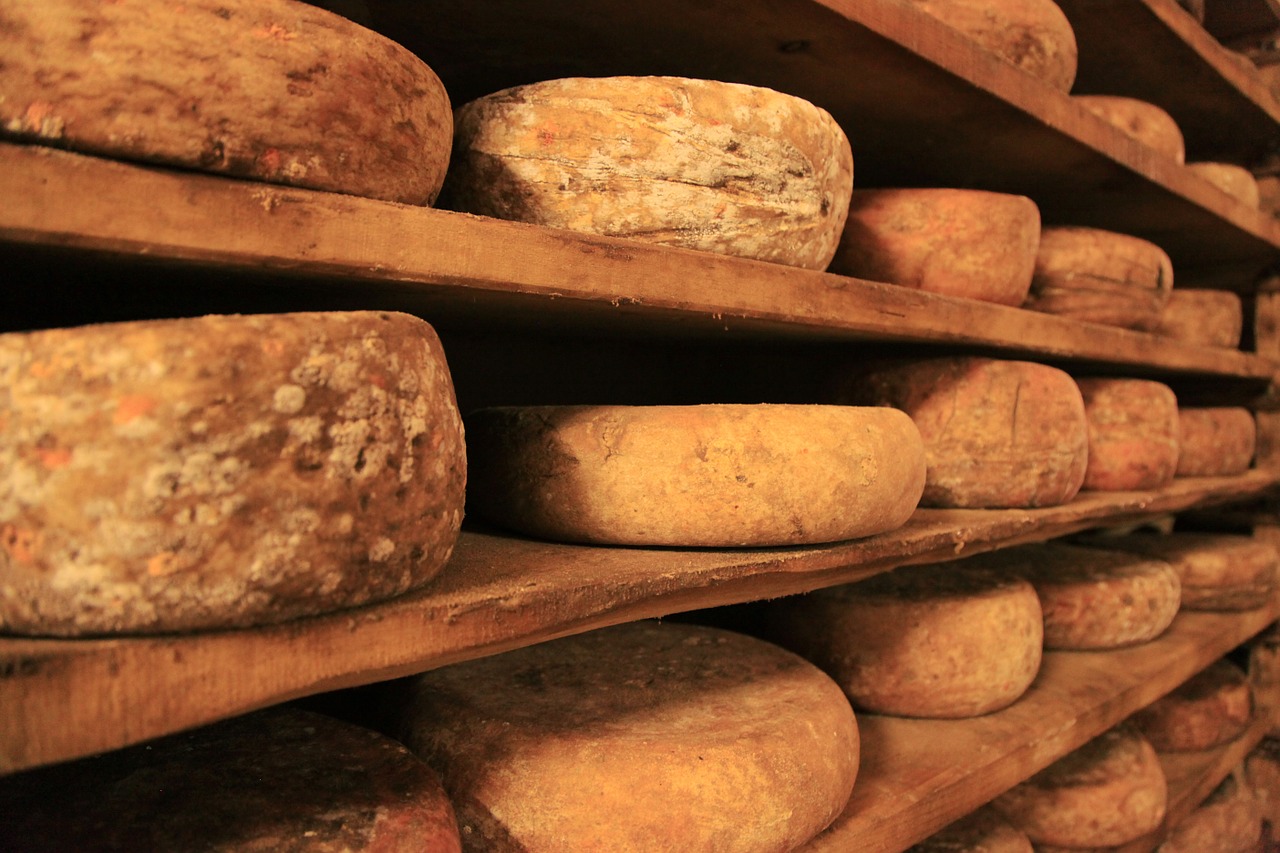 variétes de fromages traditionnels corses